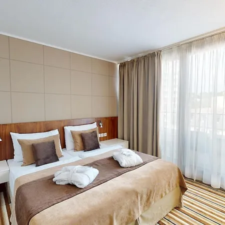 Business Astrum Laus 레비체