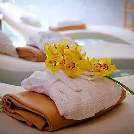 Business Astrum Laus Hotel Levice